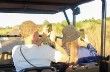 Pilanesberg National Park Big Five Safari Full Day Tour