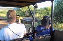 Pilanesberg National Park Big Five Safari Full Day Tour