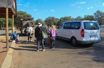 Pilanesberg National Park Big Five Safari Full Day Tour