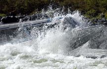 Full Day Jet Boat Tour in Hells Canyon