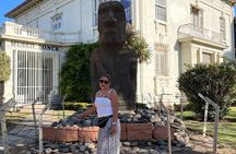 Valparaiso and Vina del Mar Classic Guided Tour Heritage Wealth