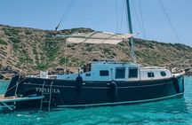 Charter in Llaut by the Bay of Palma de Mallorca
