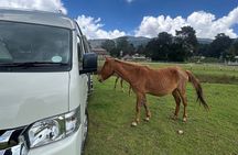 Sri Lanka Private Custom Tour with Driver | Sri Lankan Vibe Tours