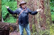 Forest Walk and Urban Feast Culinary Tour Portland