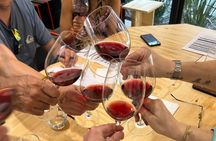 Wine Tasting Experience in Mendoza with a Sommelier Small Group