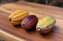 Lahaina Cacao Farm Tour and Feast