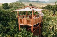 Lahaina Cacao Farm Tour and Feast