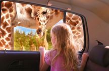 From puebla: Private tour in Africam Safari all-Inclusive