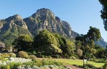 Cape Town City Bowl Highlights and Cultural Experiences Day Tour