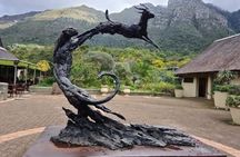 Cape Town City Bowl Highlights and Cultural Experiences Day Tour
