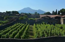 Pompeii Daily Roman Life Small-Group Tour with an Archaeologist