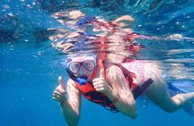 Coral Reef Snorkeling with Expert Guide