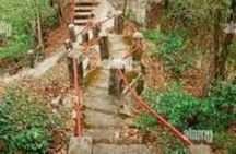 Cameron Highlands and Ipoh Day Private Tour