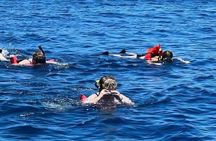 Roatan private Snorkeling Adventure monkey Sloth west Bay Beach.