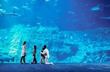 Hong Kong Top Night Tour: Cruise, Aquarium Dinner, Peak