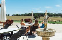 Premium Hunter Valley Wine Tour with Tastings & 2 Course Lunch