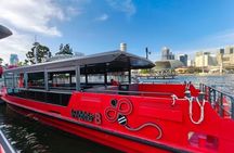Singapore River Cruise and Light Shows Guided Tour With Transport