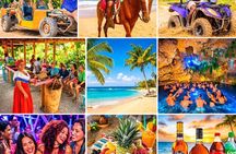 Punta Cana Micky 7 Ultimate Activities w/party, Drinks and Lunch