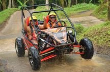 Ubud Jungle UTV Buggy Adventure