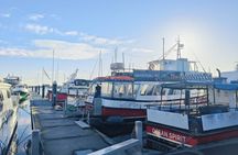 Full Day Fishing Trip on Auckland Waitemata Harbour