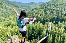 Jeonju Hanok Village Full-Day Tour: Jangtaesan Green Forest