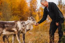 Seyðisfjörður: Puffins, Reindeer & Eastfjords Tour