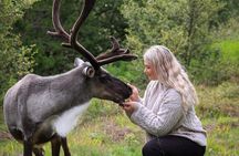 Seyðisfjörður: Puffins, Reindeer & Eastfjords Tour