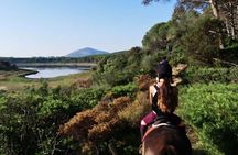 Alghero: horseback ride in Porto Ferro and Lake Baratz