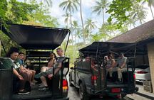 2 Hour ATV Jungle Adventure in Koh Samui Mountain Viewpoints