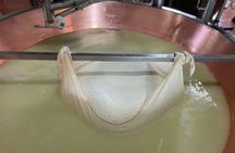 Modena Private Tour of Organic Parmigiano Reggiano with Tasting