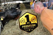 Modena Private Tour of Organic Parmigiano Reggiano with Tasting