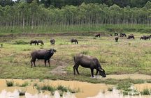 Da Lat's City Tour - Private Car