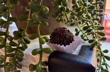 Astoria Queens Guided Food Tour: Global Bites and Hidden Gems