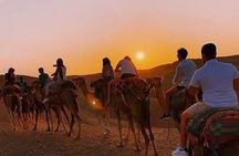 Agafay Desert: Quad, Camel Ride & Dinner