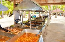 Saona Island Paradise Natural Pool Beach Time and Lunch Tour
