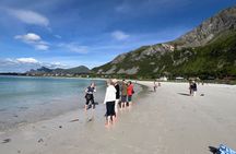 Lofoten Shore Excursion from Leknes: Reine, Hamnøy & Å