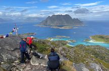 Private Lofoten Group Tour from Svolvær