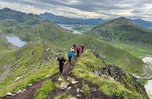 Private Lofoten Group Tour from Svolvær