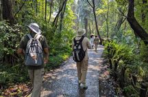 Full Victoria Falls Experience Private and Slow Paced Tour