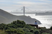 Muir Woods, Golden Gate Bridge, and Sausalito Coastal Experience
