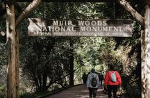 Muir Woods, Golden Gate Bridge, and Sausalito Coastal Experience