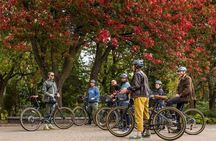Bike / E-bike Tour : Downtown, Old Montreal, Waterfront by Fitz