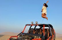 Private Full Day All Inclusive in Paracas, Huacachina and Vineyards