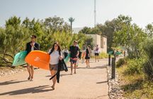Surf Lessons In Tamraght Shared Experience Available