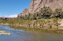 Ouarzazate Day Tour Ait Ben Haddou Film Studios and Fint Oasis