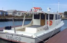 Seaside Cruising Dolphin Watching and Sunset Cruises