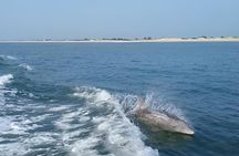Sunset Cruise on the Atlantic Ocean from Indian River Marina