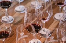 Winemaking Session in Buenos Aires with Catena Zapata