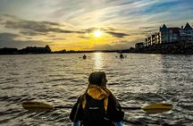 Victoria Harbour Sunset Kayak Tour