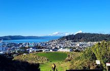 Wellington Trails, Coffee & Craft Beer